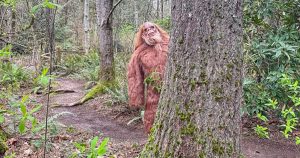Harbor Happenings | Sasquatch lurks at Harbor Family Park
