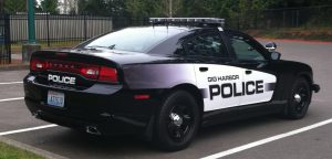 Gig Harbor Police Blotter | Nature called, but so did police