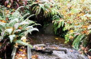 Council mixed over North Creek culvert replacement project options
