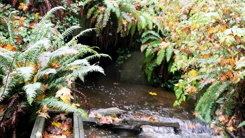 Council mixed over North Creek culvert replacement project options