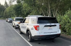 16-year-old dies in collision near Kopachuck