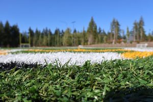 Gig Harbor Sports Fields thriving in opening months